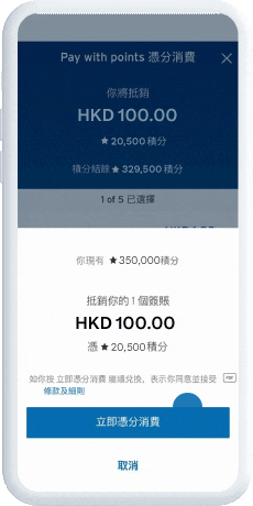 Enter your payment amount and bill payment date 